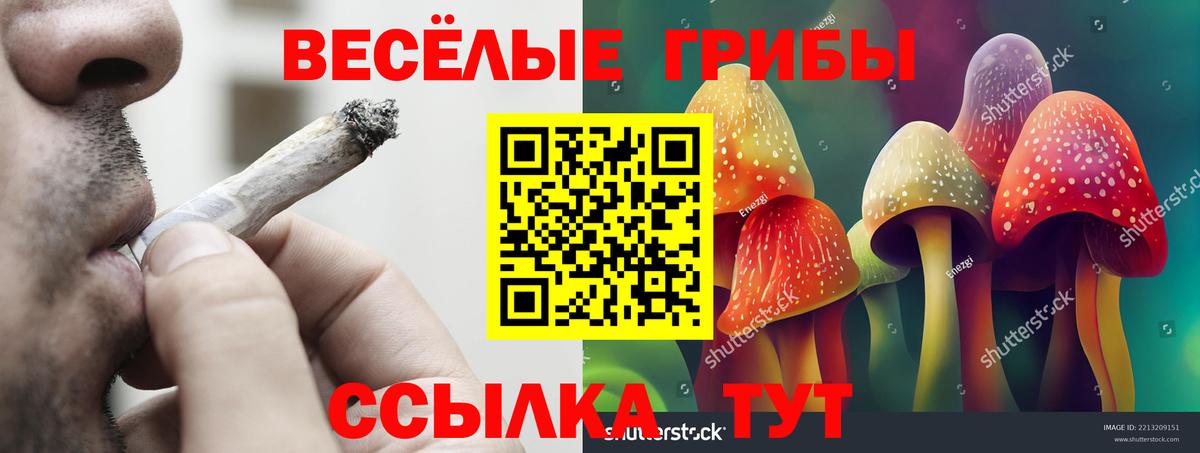 Псилоцибиновые грибы прущие грибы Бийск